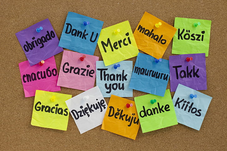 Board Colorful Thank you Stickers Different Languages