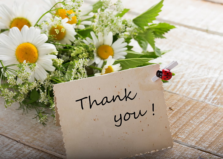 Chamomile bouquet flowers thank you