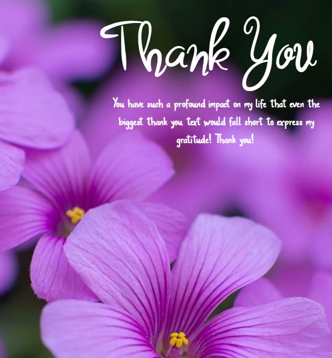 Heartfelt thank you message flowers