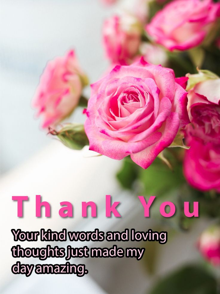 Sweet Wish – Thank You Cards