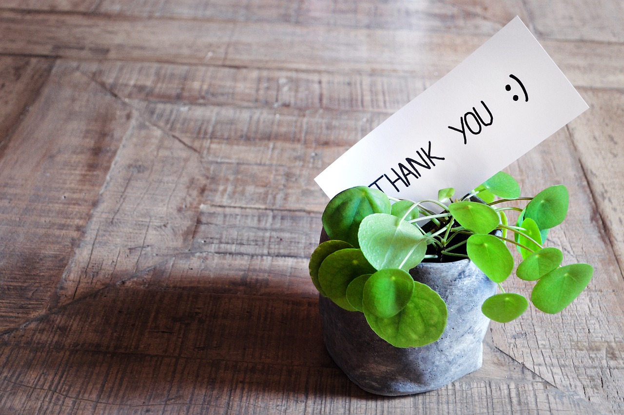 Thank You Card in Plant