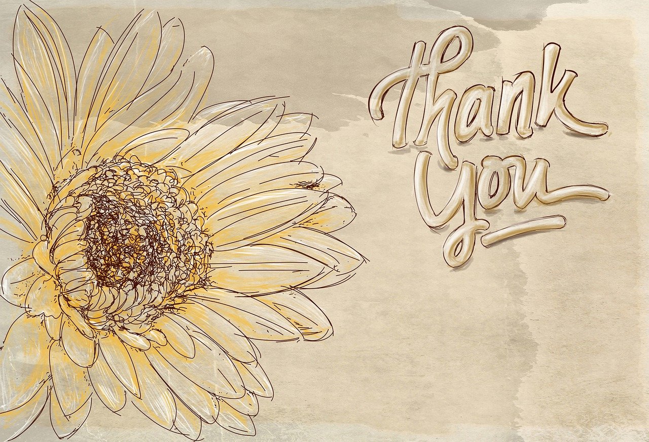Thank You Flower Nature Sunflower