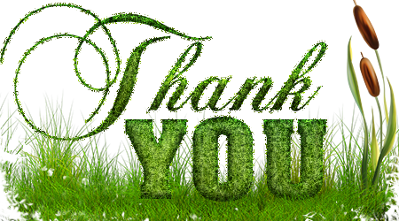Thank You Transparent Background 67