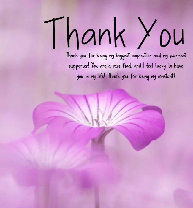 Thank you message for support 2