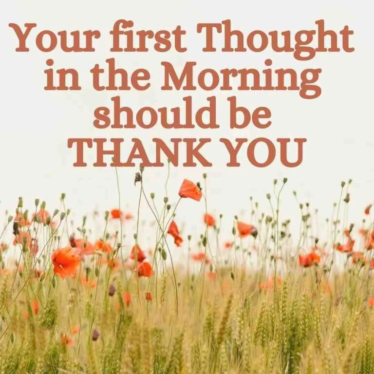 Your first Thought in the Morning should be Thank You 2